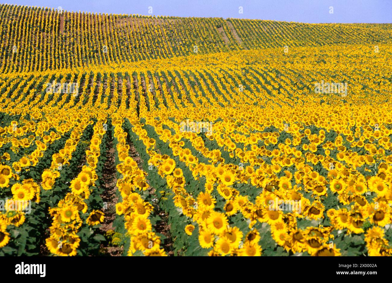 Agriculture & Farming Stock Photo - Alamy