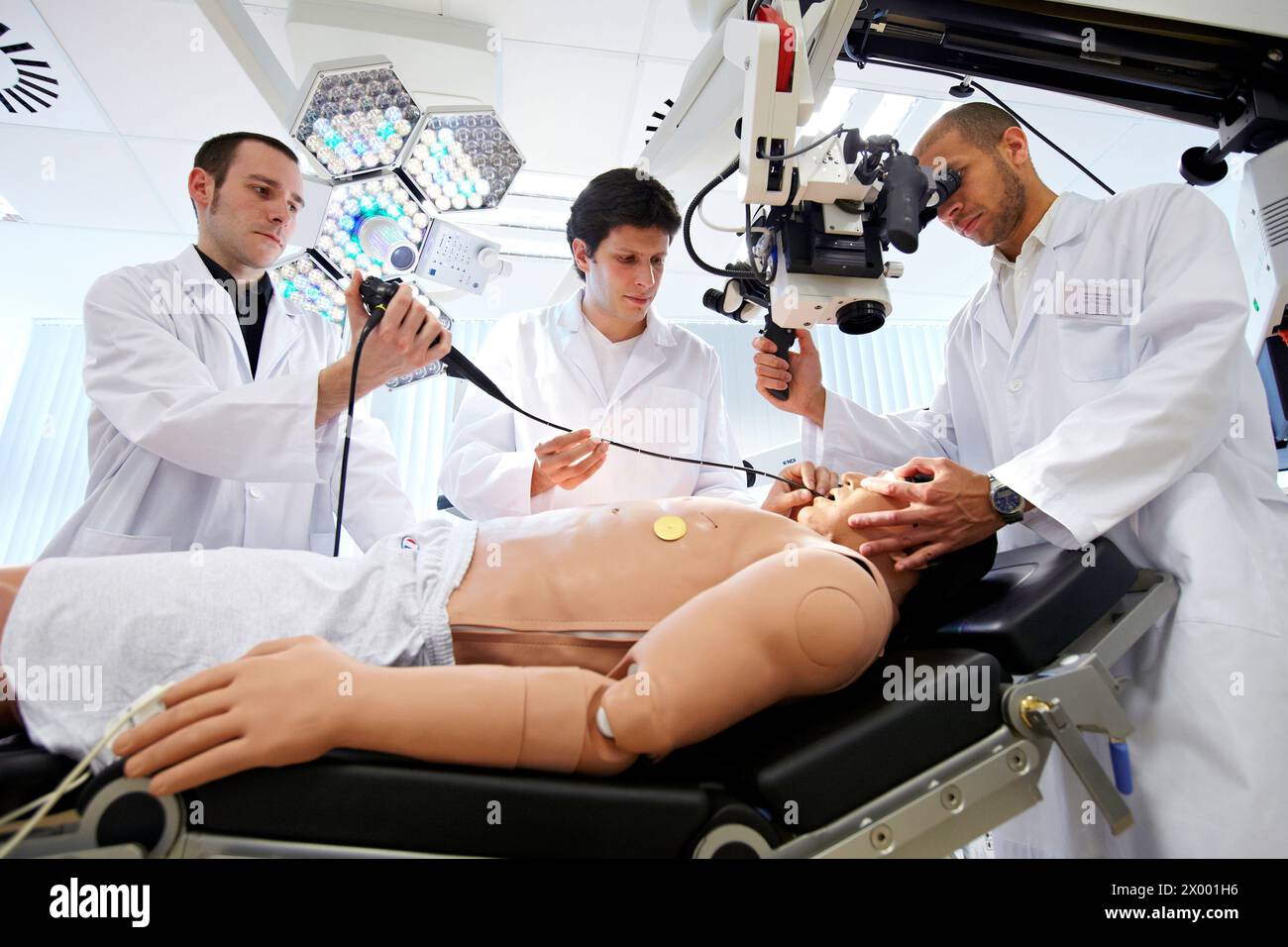 Integrated operating room, bronchoscopy simulation, examination of the airways, Health and Biomedical applications, Vicomtech-IK4 Visual Interaction and Communication Technologies Centre, applied research centre for Interactive Computer Graphics and Multimedia, San Sebastian Technology Park, Donostia, Gipuzkoa, Euskadi, Spain. Stock Photo