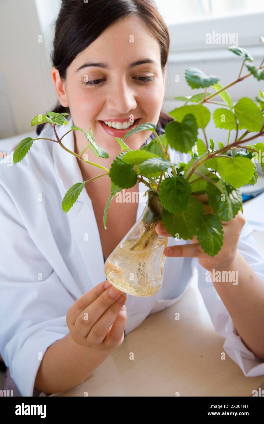 Planta de laboratorio hi-res stock photography and images - Alamy