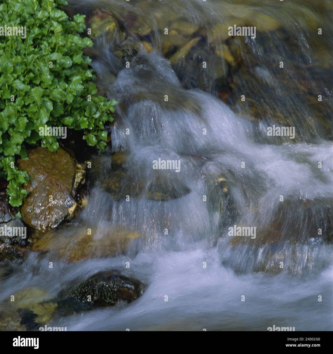 Scenic suds hi-res stock photography and images - Alamy