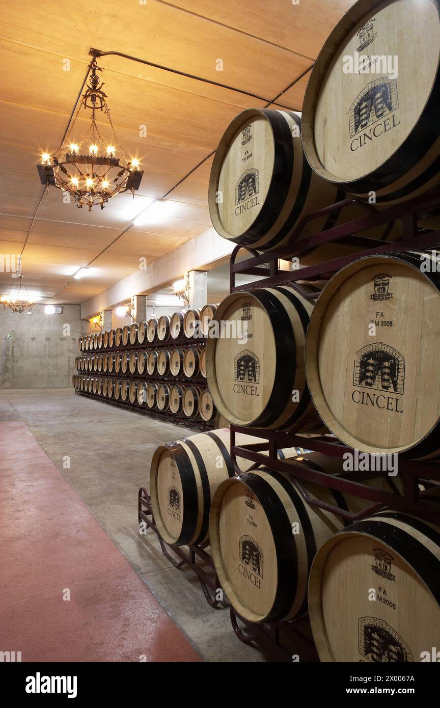 Maturing Rioja wine in oak casks. Bodegas Virgen del Valle, Samaniego ...