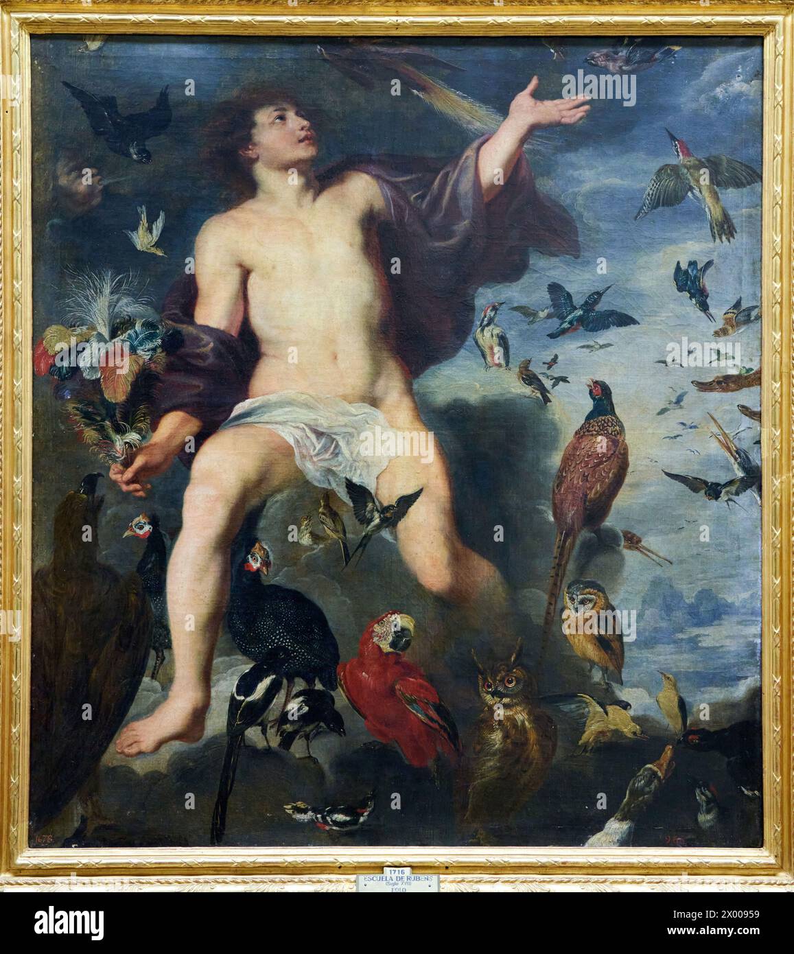 Pedro Pablo Rubens (Follower of). (Siegen, Westphalia, 1577 - Antwerp, 1640), Aeolus, early 17th century, Fine Arts Museum, Museo Bellas Artes, Oviedo, Asturias, Spain. Stock Photo
