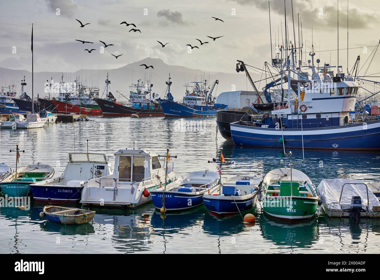 Fishing port, Hondarribia, Gipuzkoa, Basque Country, Spain, Europe. Stock Photo
