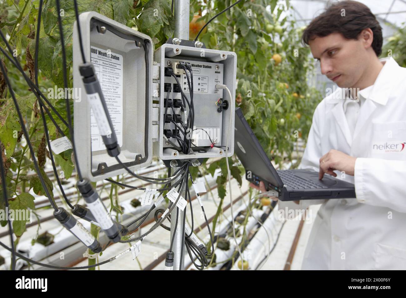 Planta de laboratorio hi-res stock photography and images - Alamy