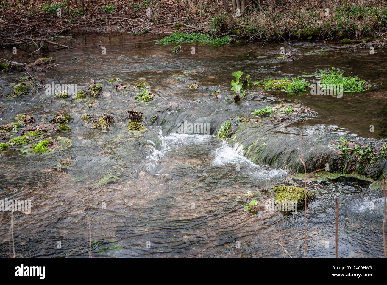 Meanderine Stream Rocks Capturing the serene ambiance of a forest stream, this image portrays ...