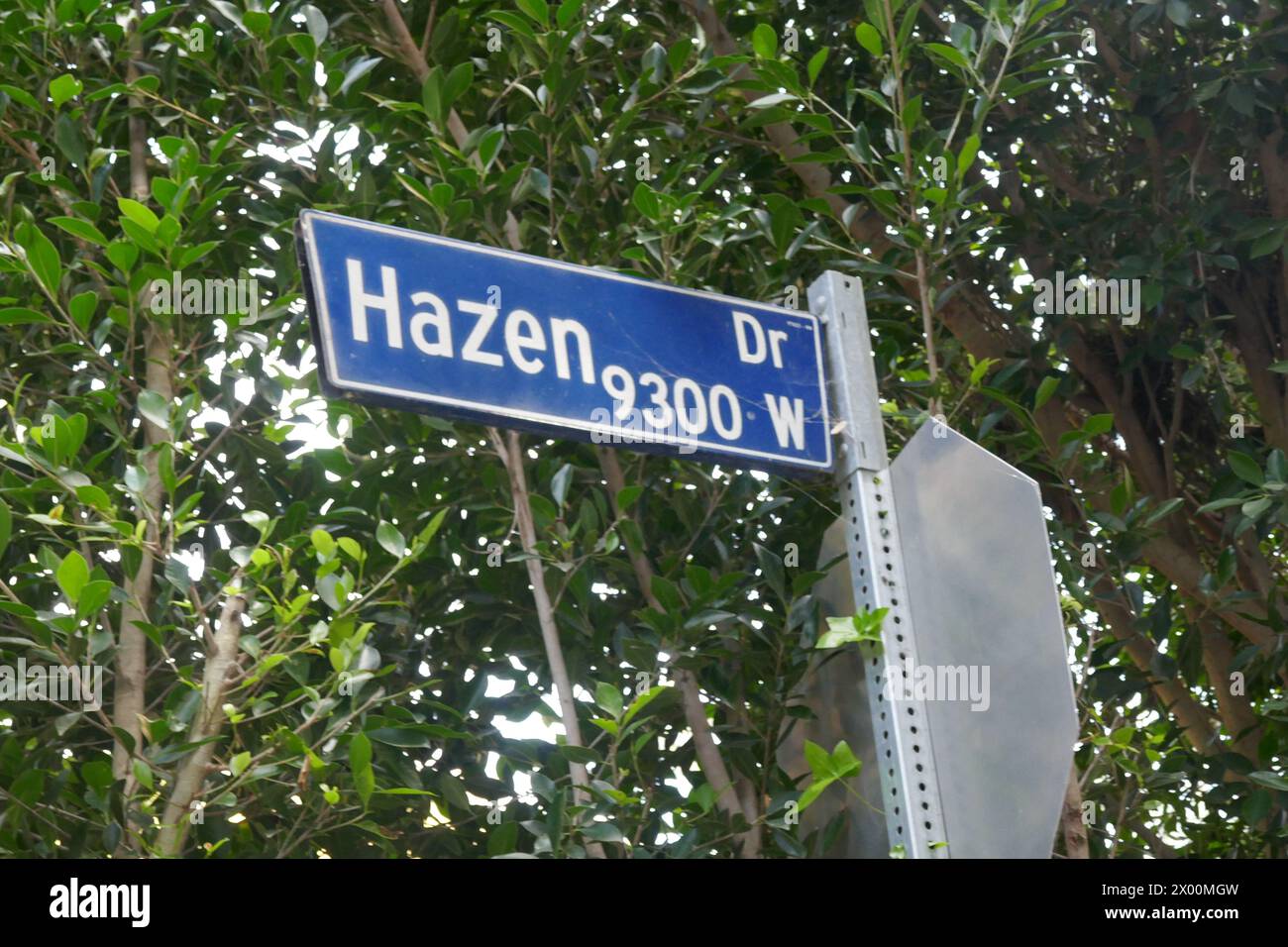 Los Angeles, California, USA 7th April 2024 Actor Paul Newman and