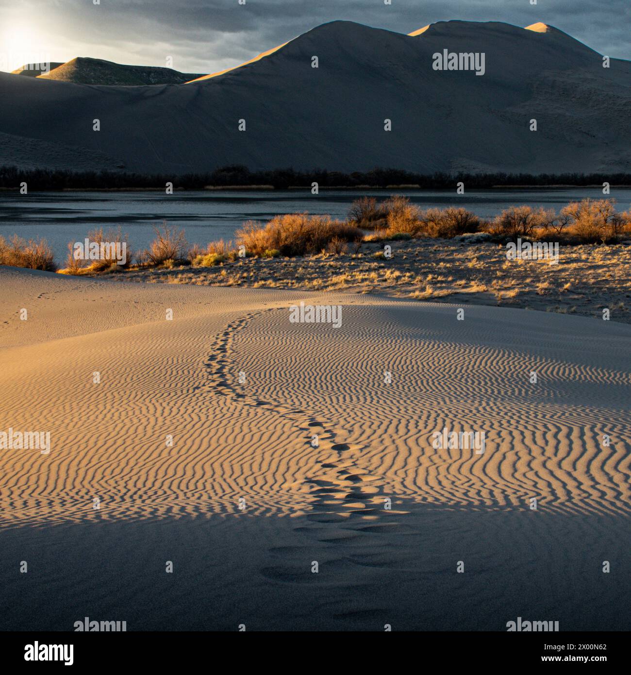 Gentle ripples in the sand create mesmerizing patterns leading to a backdrop of towering dunes under a early morning sky. The glimmer of water is visi Stock Photo