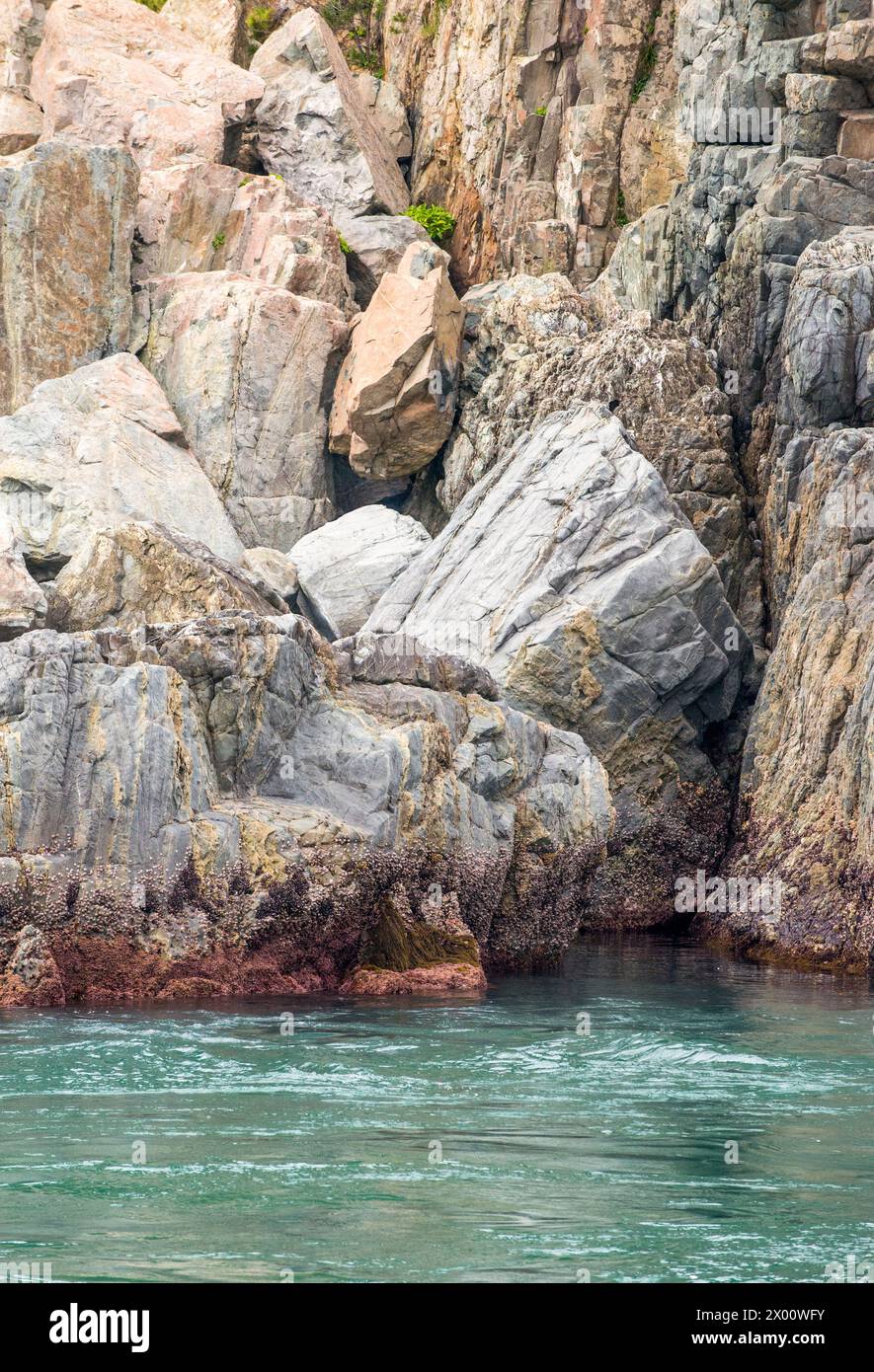 Island Rocks Texture Beautiful sea texture coral reefs hi-res stock photography and images ...
