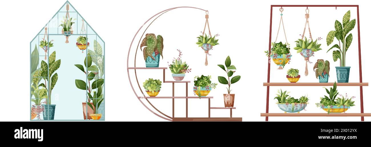 Houseplant and macrame plant growing in pots. Greenhouse, flower rack ...