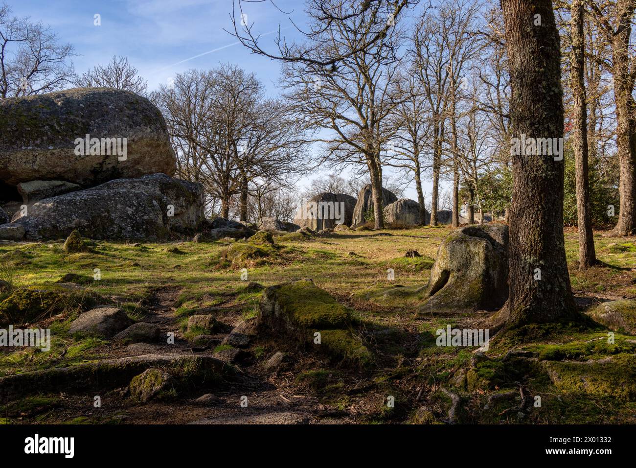 Les  Pierres Jaumâtres, Creuse, France on a blue sky sunny day. Stock Photo