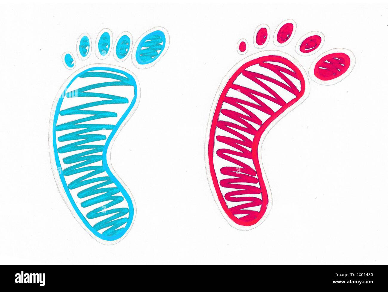 Two foot feet isolated on white background. The drawing is a thin black ...