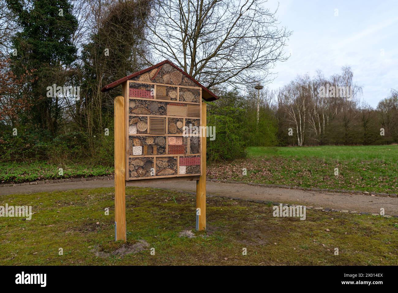 Liverpool Insect Room Insect hotel container plant hi-res stock photography and images - Alamy