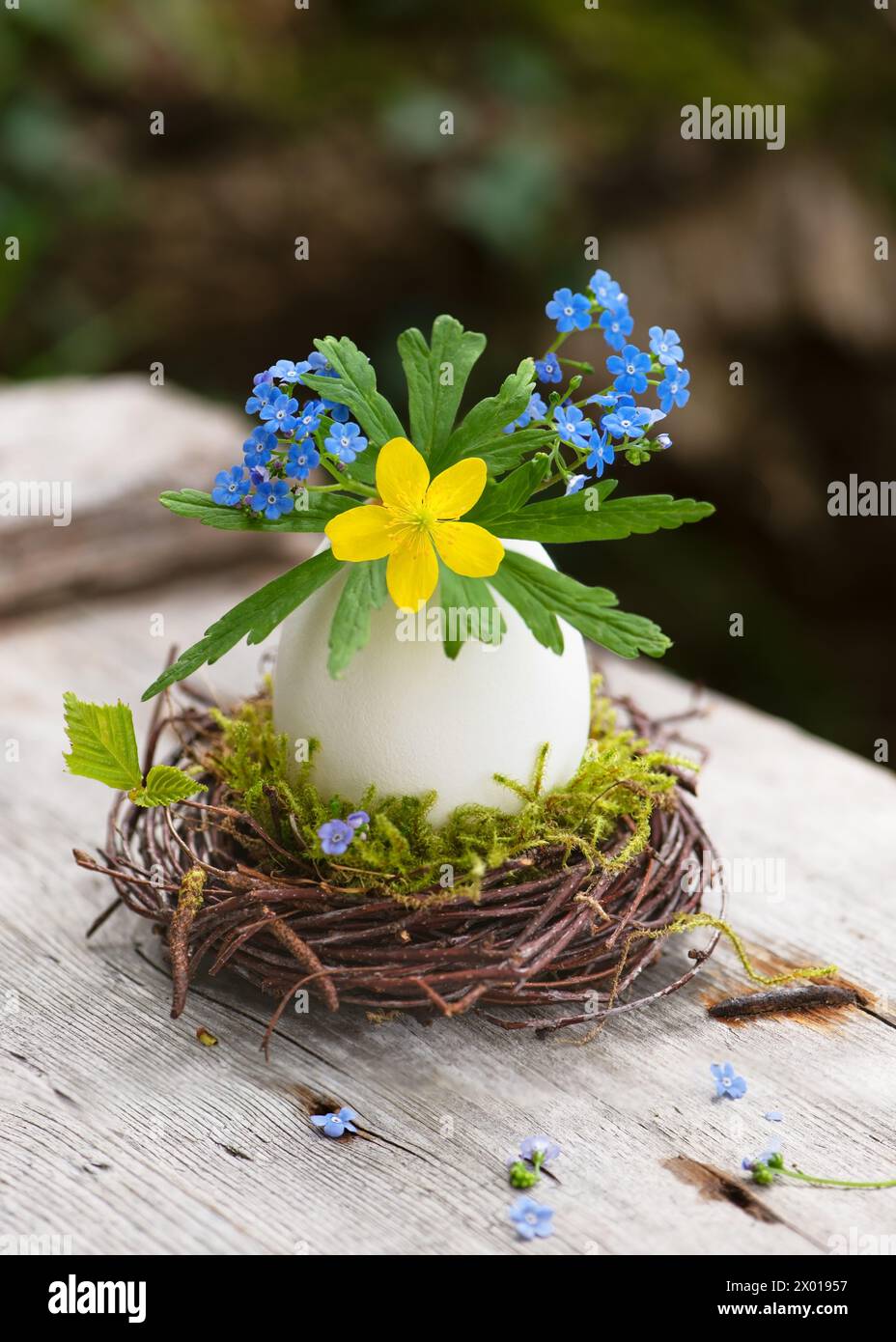 Handmade easter decoration with sweet yellow wood anemone and  forget-me-nots flowers in egg shell vase nest on a rustic garden table. Stock Photo