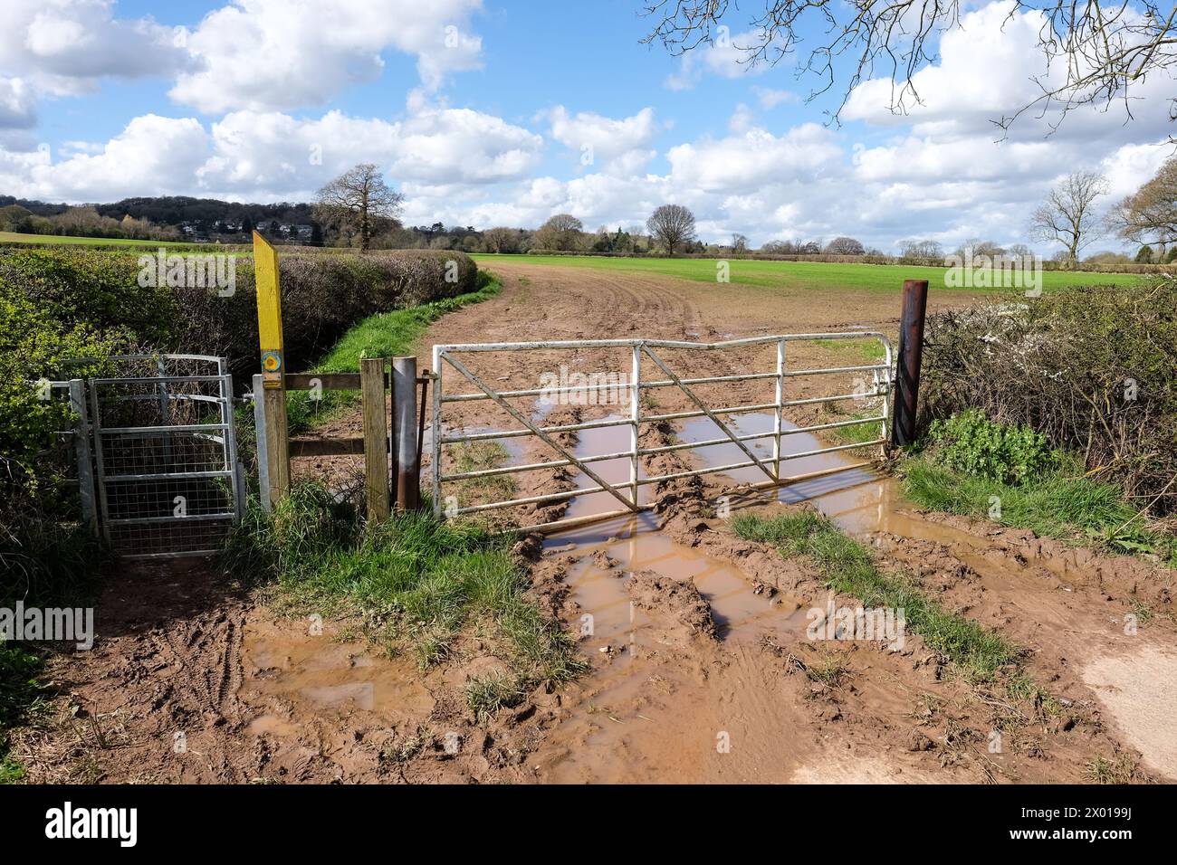 waterlogged farmers field april 2024 Stock Photo