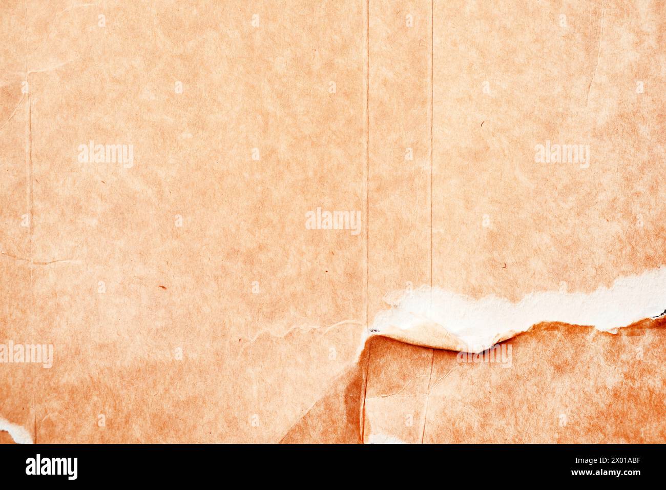 Texture of torn ripped cardboard paper as background Stock Photo - Alamy