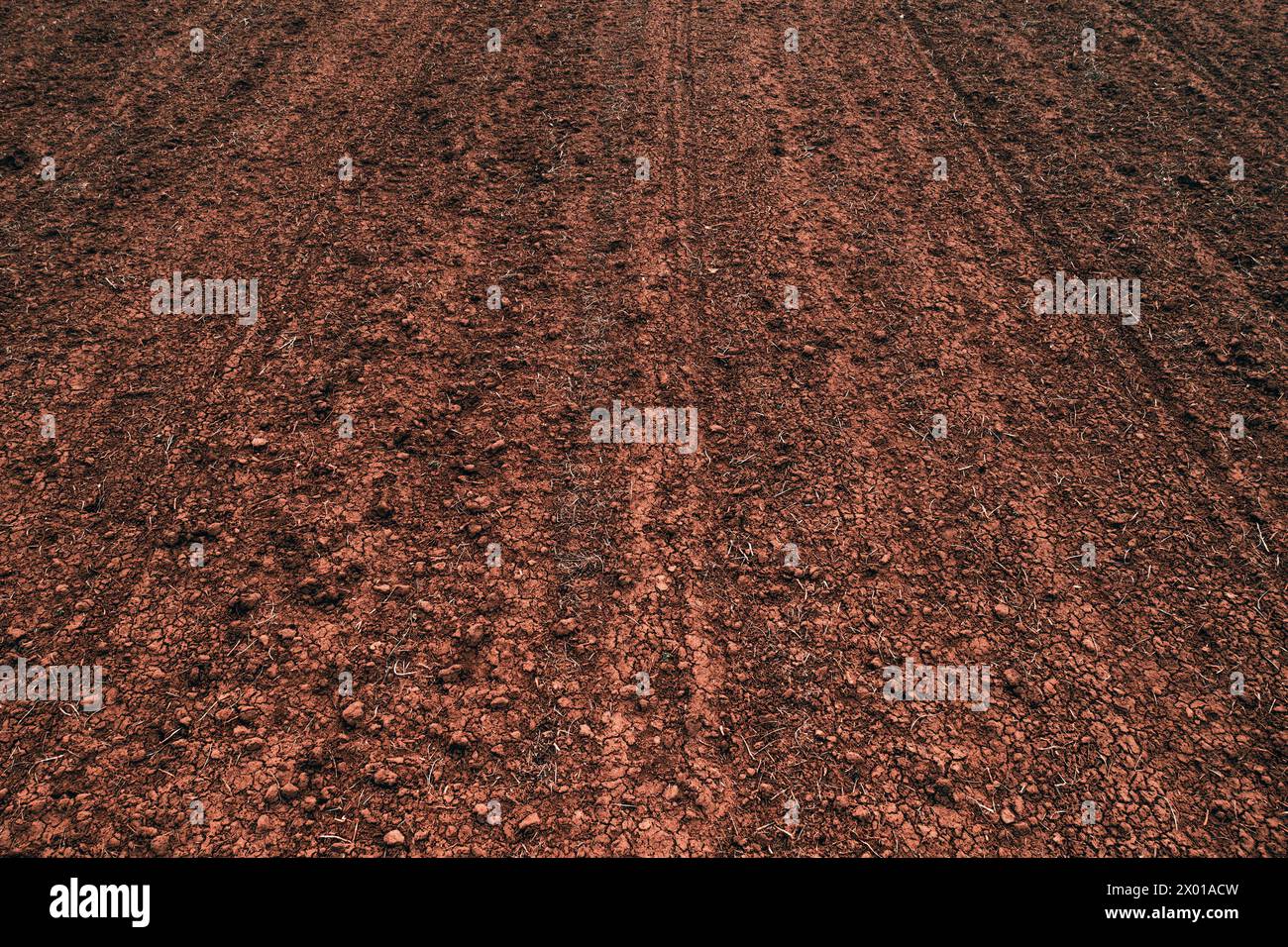 Texture of brown agricultural soil ready for tillage, diminishing perspective Stock Photo