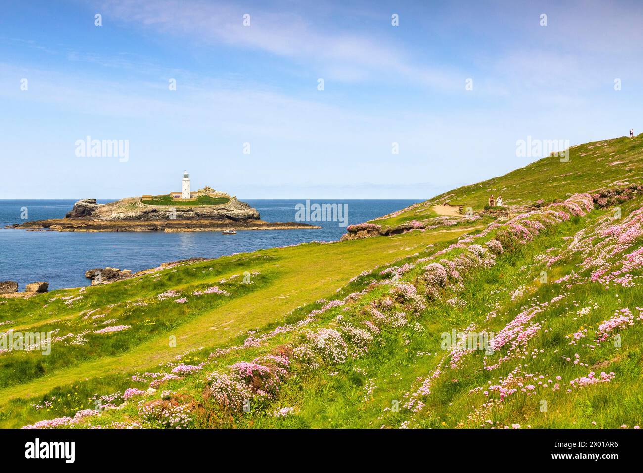 18 May 2023: Godrevy Head, Cornwall, UK - Godrevy Head and Godrevy Lighthouse on a sunny spring day, and an abundance of sea thrift in bloom. Stock Photo