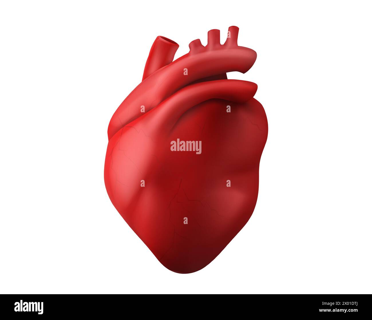 3d anatomy human heart medical icon vector. Body organ isolated ...