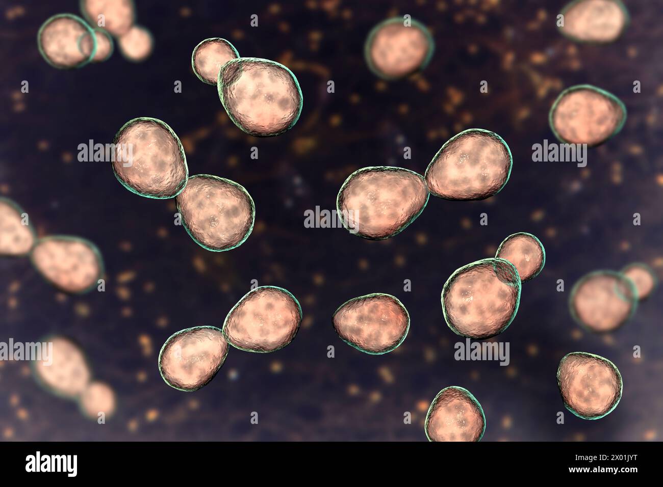 Illustration of histoplasma capsulatum, a parasitic yeast-like ...