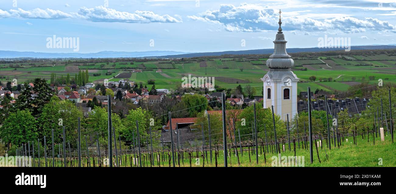 view from a vineyard above the community Gainfarn onto the church tower and southwards until the foothills of the mountainrange 'Wechsel', Austria Stock Photo
