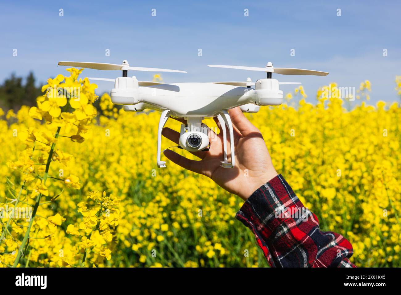 Innovation and agricultural technology for control and monitoring of crop pests and diseases Stock Photo
