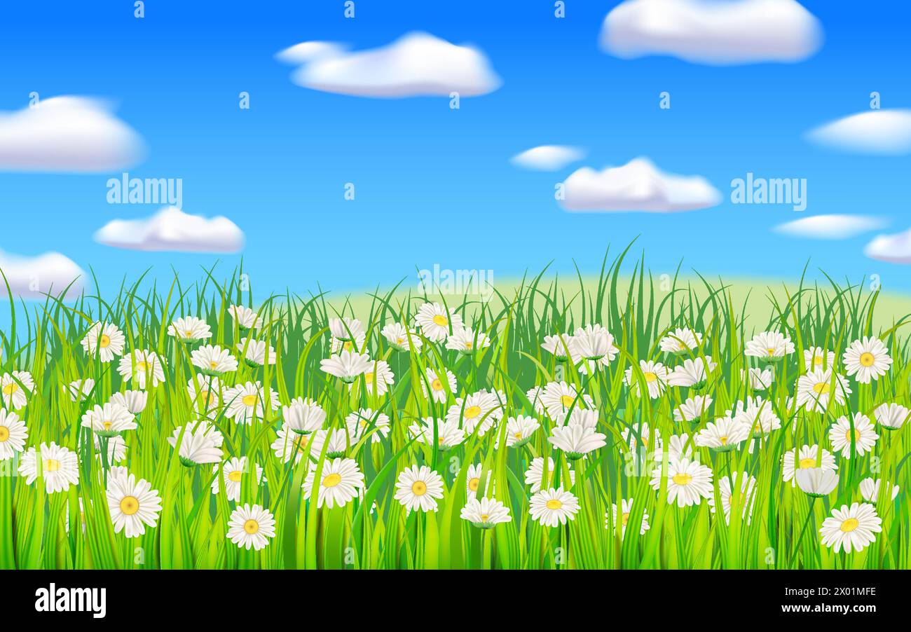 Summer landscape rural field green grass, daisy, dandelion flowers Stock Vector