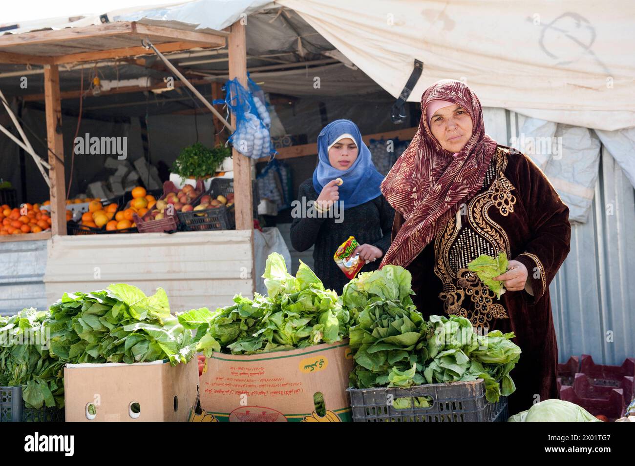 Fruit and Vegetables Soon after arriving at Refugee Camp Al Za atari, this resiliant and entrepreneurial mother and her daughter opened a fresh Fruit and Vegetable Market at Champs Elisee inside the Camp. It provides a family income. Al Za atari, Al Mafraq, Jordan. Al Za atari Al Za atari, Al Zaatari, Zaatari Al Mafraq Jordaanie Copyright: xGuidoxKoppesxPhotox Stock Photo