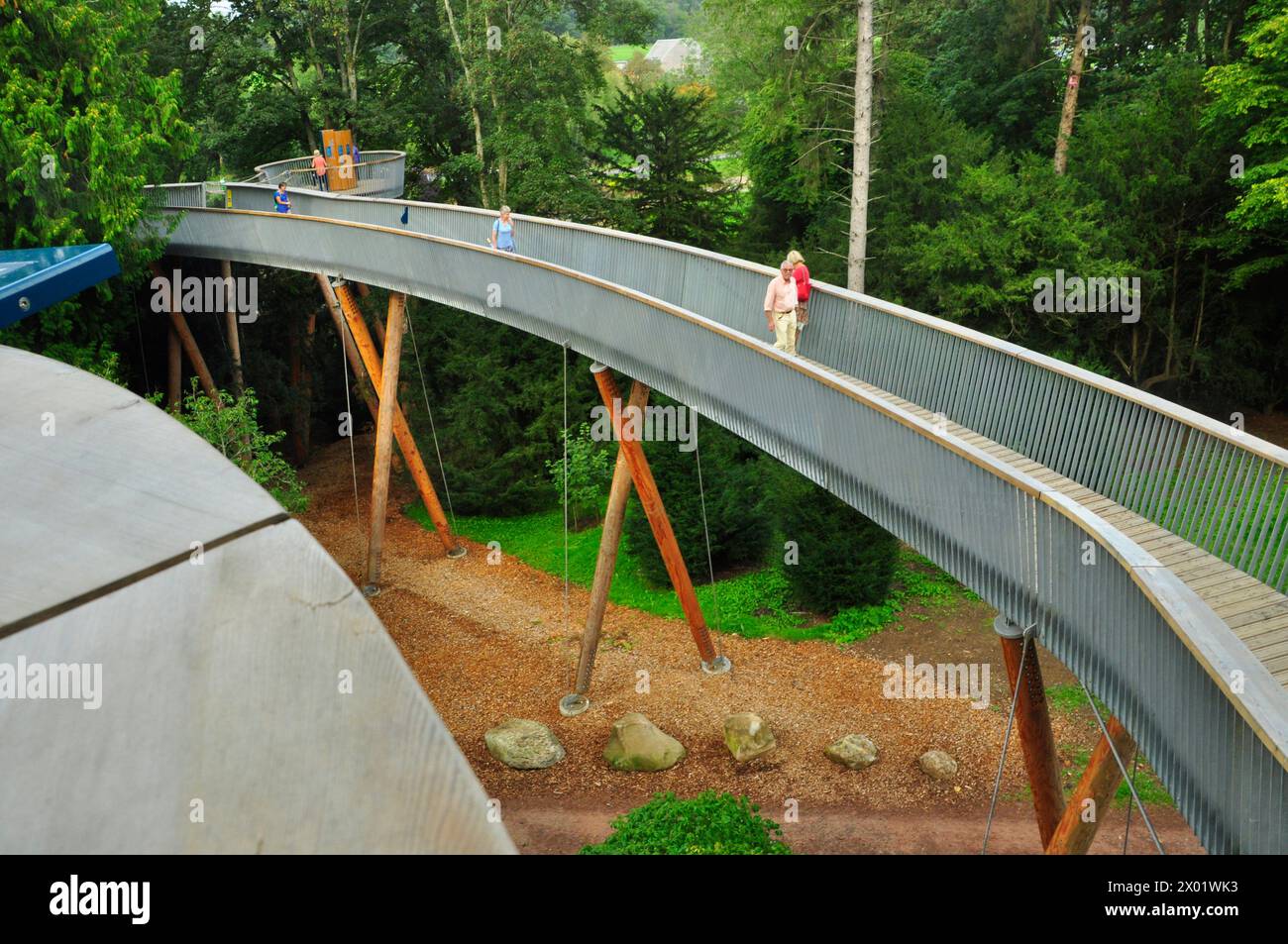 The tree top walkway at the Westonbirt Arboretum in Gloucestershire.The views from this arial walk are interesting and add a new dimension to a walk i Stock Photo