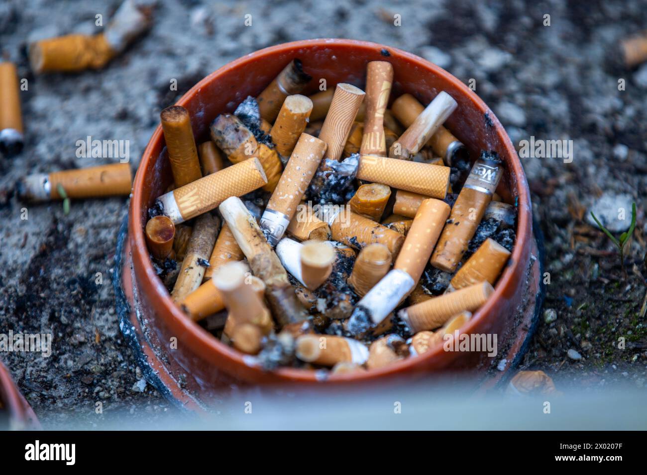nerds and cigarettes picture me broken Nerds & Cigarettes - Picture