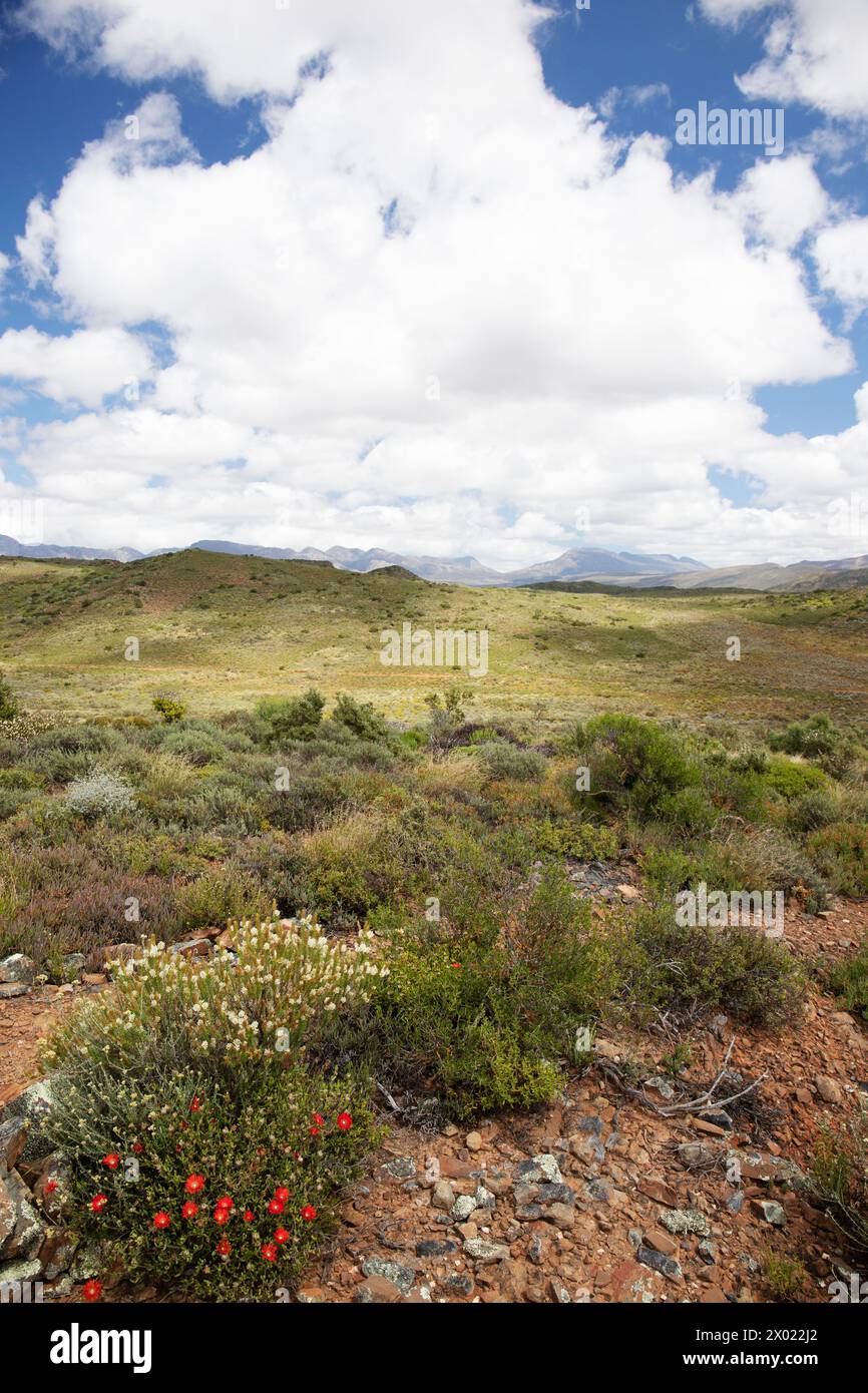 Klein Karoo Landscape, McGregor, Western Cape, South Africa Stock Photo