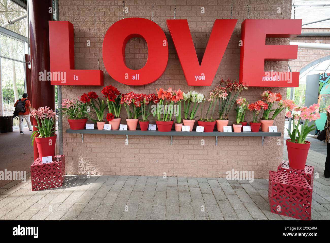 RECORD DATE NOT STATED Lisse Blumenhof Keukenhof , Pflanzenpracht