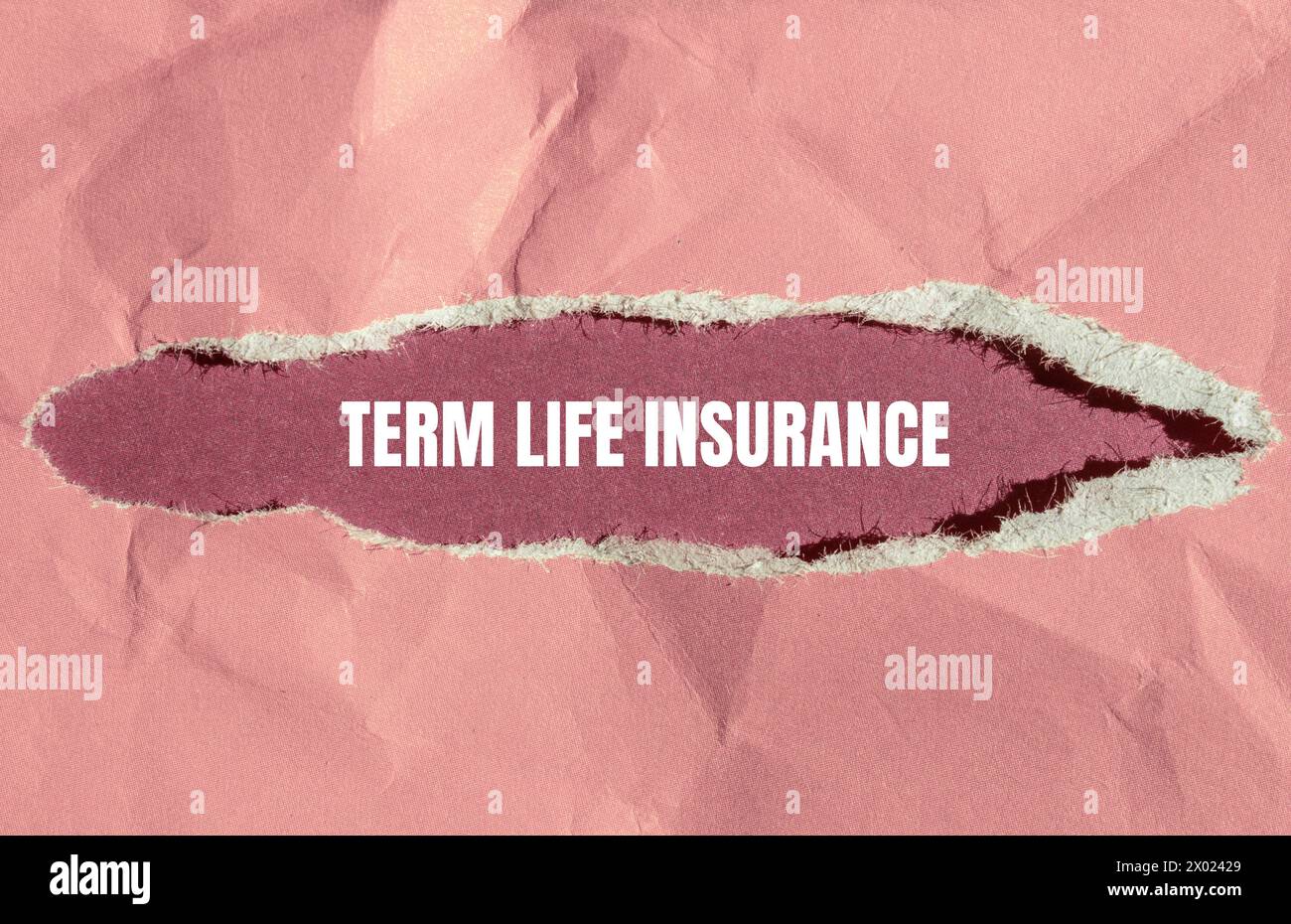 Term life insurance words written on ripped paper with pink background. Conceptual symbol. Copy space. Stock Photo