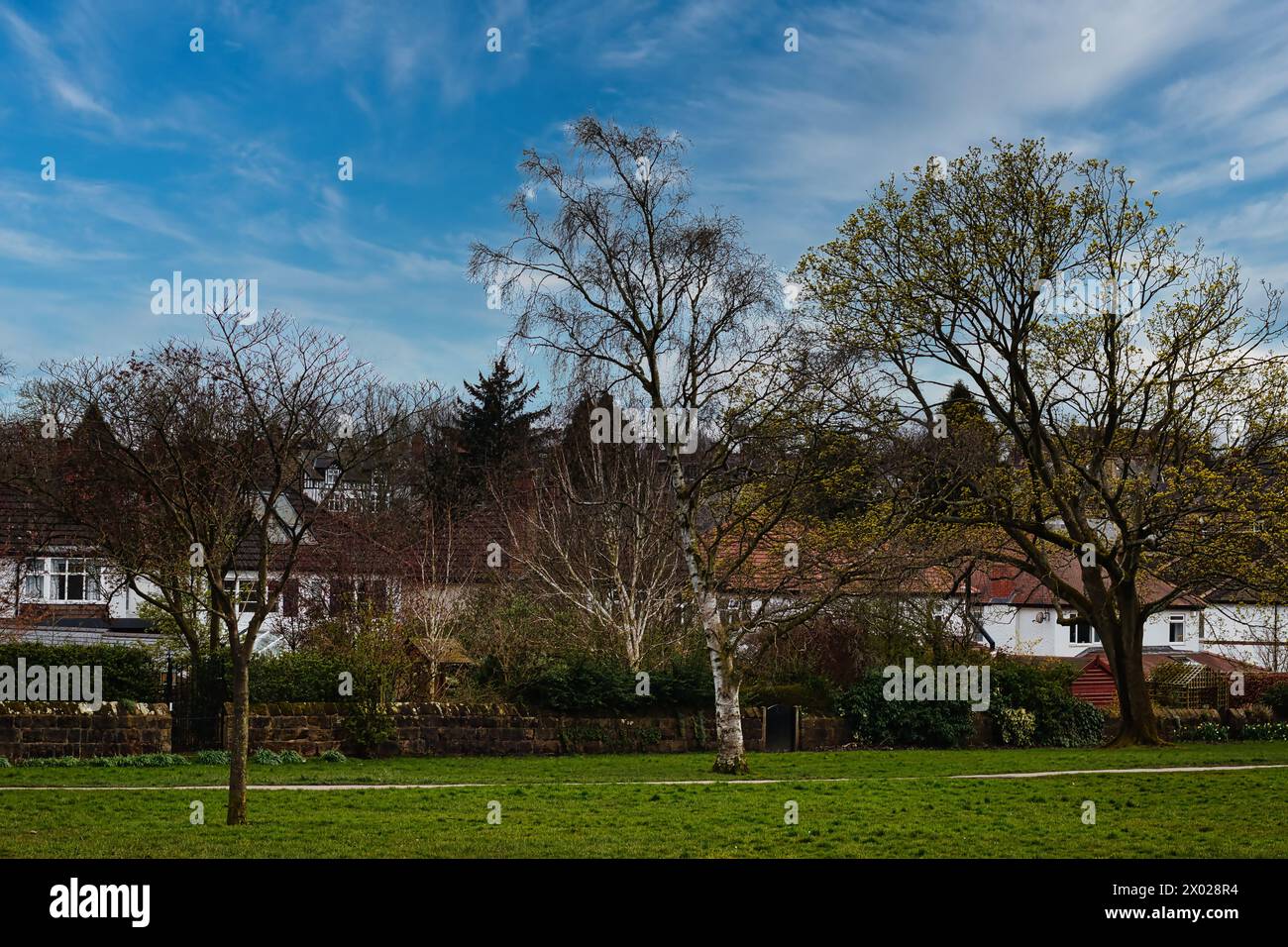 Tranquil suburban landscape with lush green grass, diverse trees in early bloom, and a clear blue sky, showcasing a serene residential neighborhood in Stock Photo