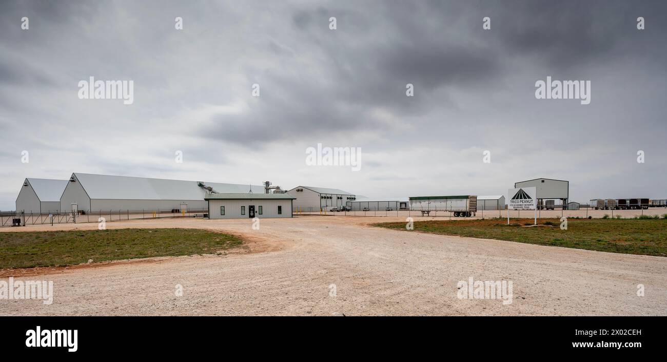 Seagraves, Texas, USA – March 23, 2024:  Metal buildings of the Trico Peanut Processing Plant Stock Photo