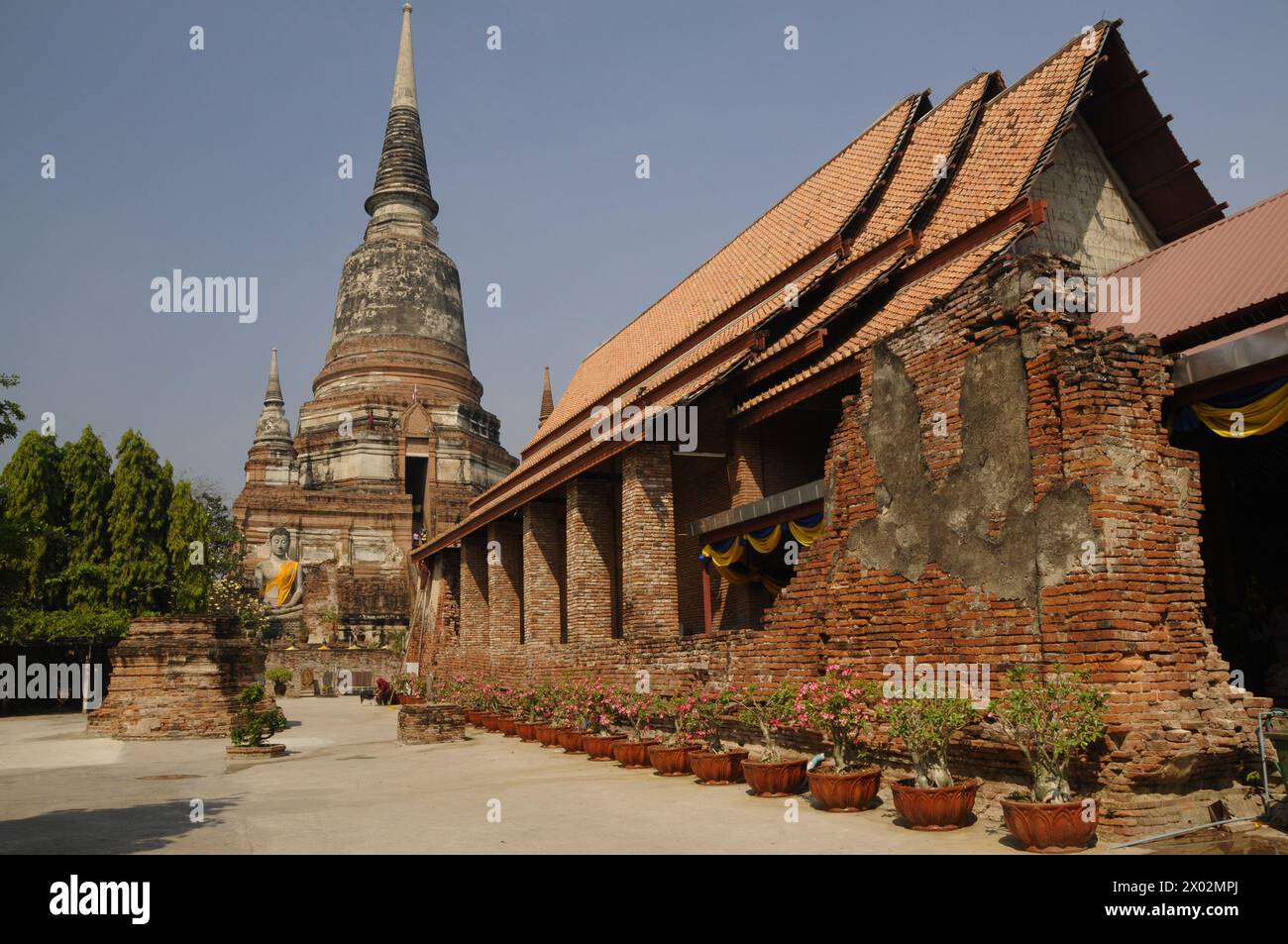 Wat Yai Chai Mongkhon, Buddhist temple in Ayutthaya, UNESCO World Heritage Site, Thailand, Southeast Asia, Asia Stock Photo