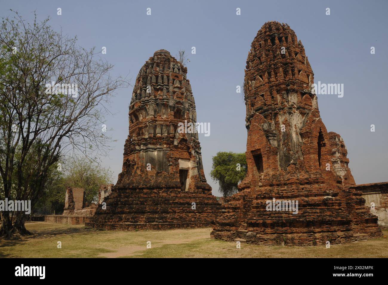 Wat Maha That, Buddhist temple in Ayutthaya, UNESCO World Heritage Site, Thailand, Southeast Asia, Asia Stock Photo