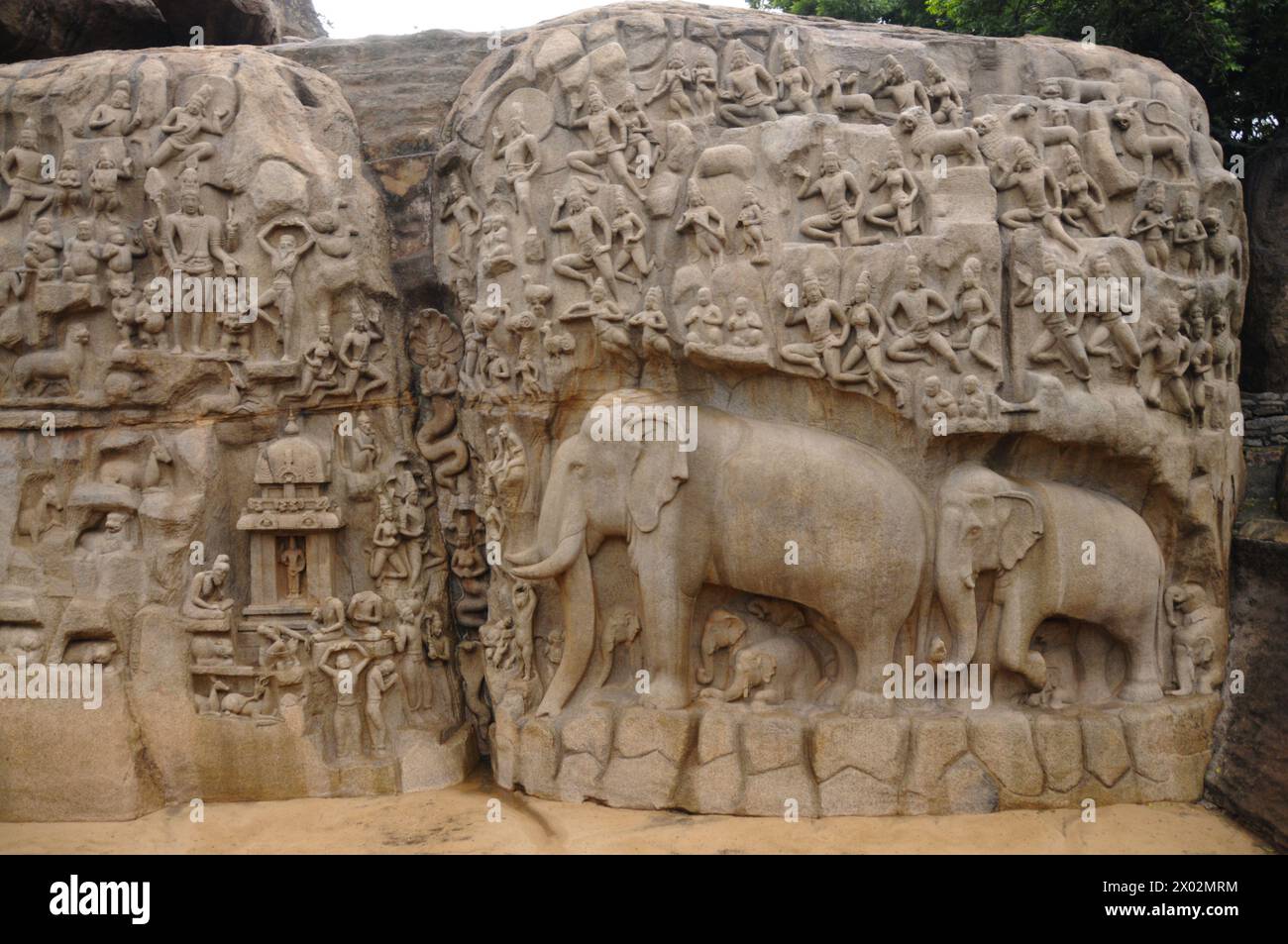 Bas relief of Descent of the Ganga River, Mahabalipuram, UNESCO World ...