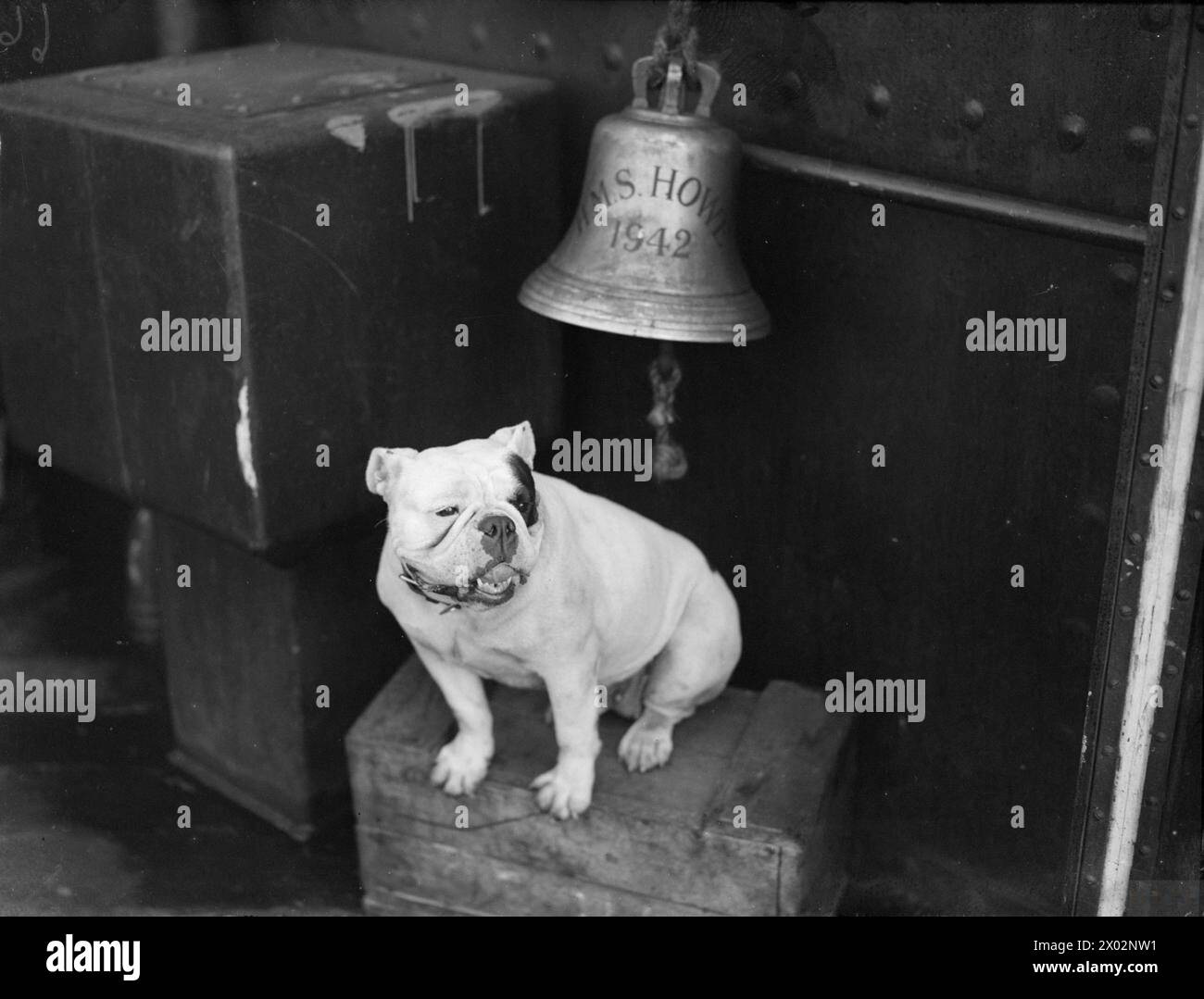 Judy Howe In August 1942, aboard the battleship HMS Howe, the ship's mascot, Judy ...