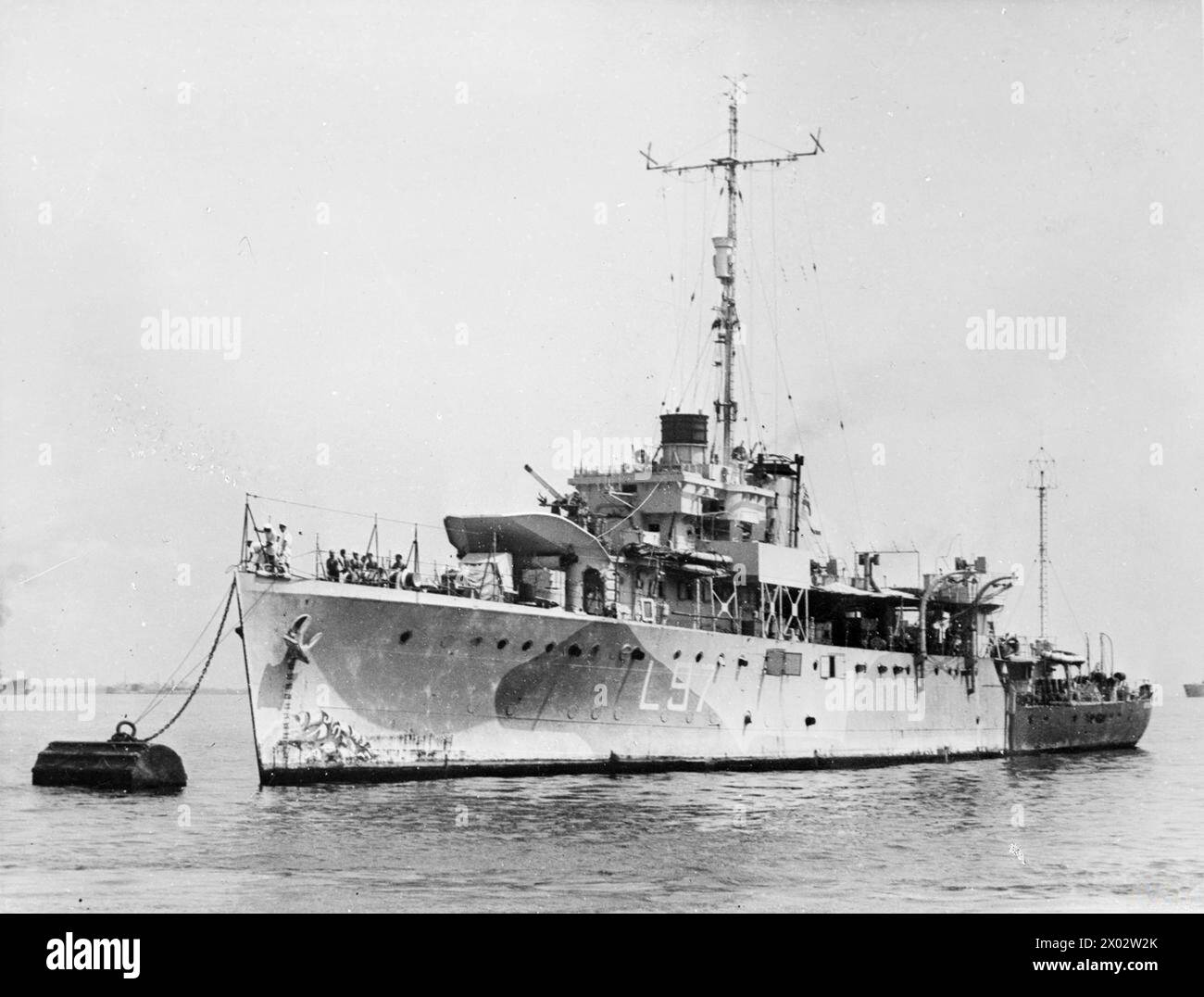 RESCUED DOG BECOMES NAVAL SLOOPS MASCOT. FEBRUARY 1944, ON BOARD HMS ...