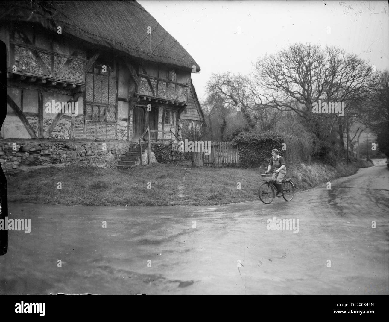 LANDGIRL'S DAY: EVERYDAY LIFE AND AGRICULTURE IN WEST SUSSEX, ENGLAND, UK, 1944 - 29 year old Land Girl Rosalind Cox cycles down a country lane, past a large timber-framed, thatched farmhouse on her way to the grain dryer on Mr Tupper's farm, at Bignor, West Sussex Stock Photo