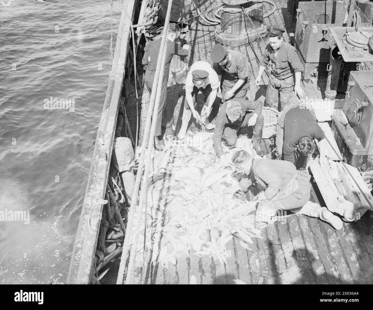 Crew of HMT OHM combine minesweeping and fishing on 4-5 May 1942 ...