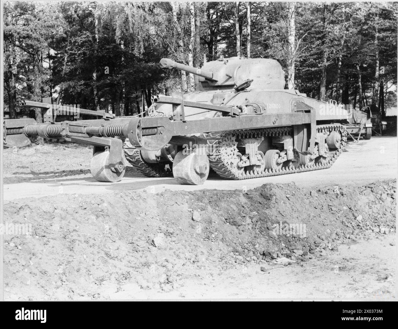 TANKS AND ARMOURED FIGHTING VEHICLES OF THE BRITISH ARMY 1939-45 - Sherman with CIRD mine exploder fitted with flying bangalore torpedoes , British Army Stock Photo