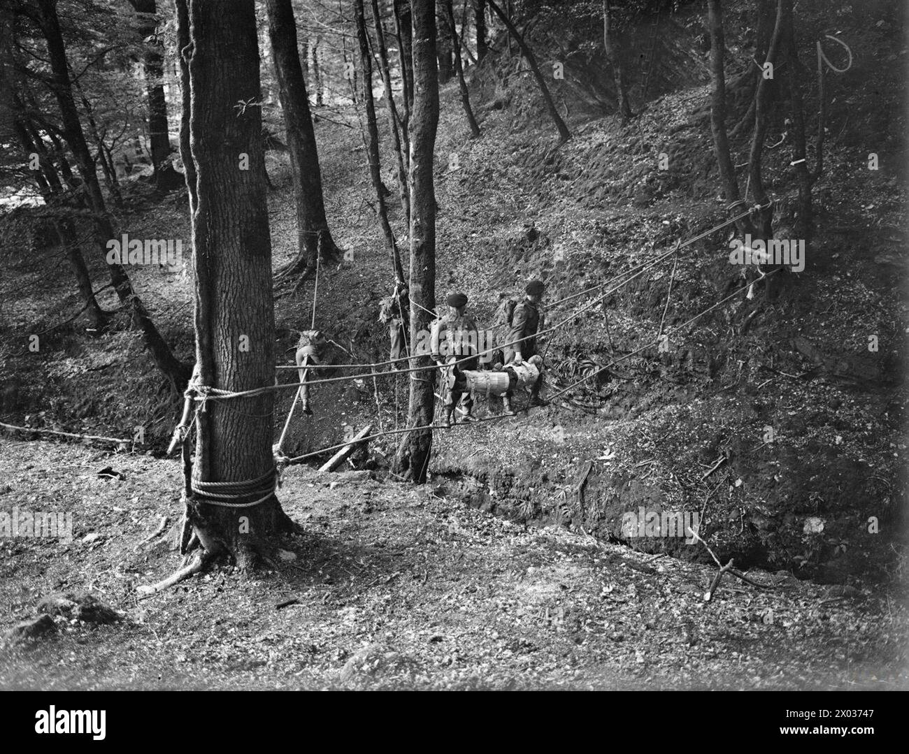 MARINES JUNGLE TRAINING. 17 AUGUST 1945, COMBINED OPERATIONS BASE HMS ...
