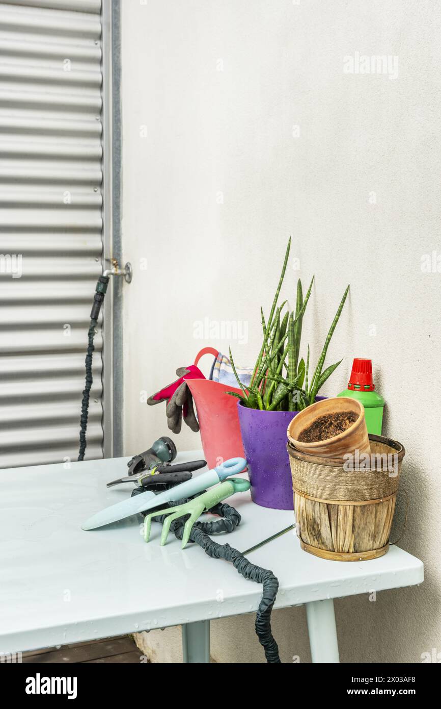 Gardening accessories with liquid fertilizer on a metal garden table with watering can for roses, hose, protective gloves, empty flower pots Stock Photo