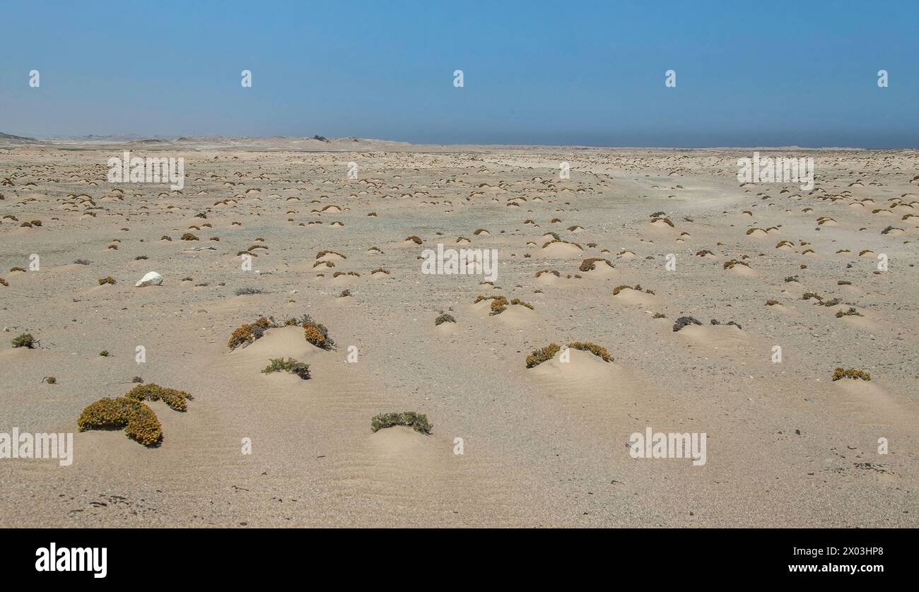 The Namib desert stretching out to the sea on the horizon at Bogenfels, Namibia. Stock Photo
