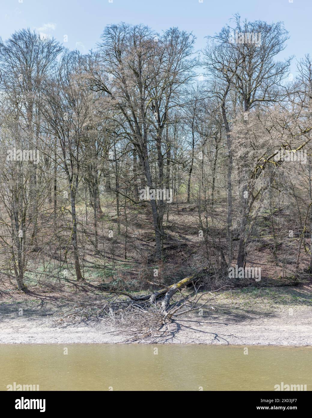 landscape with trees on shore of lake among woods at historical public park, shot in spring light at Stuttgart, Germany Stock Photo