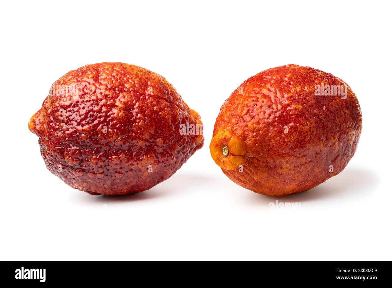 Pair of whole fresh Citrus limon Rosso, Red lemon, close up isolated on white background Stock Photo