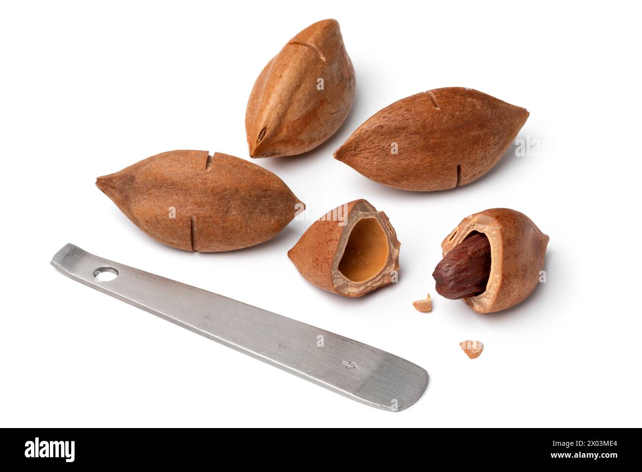 Shelled pili nut, whole pili nuts and opener close up isolated on white background Stock Photo