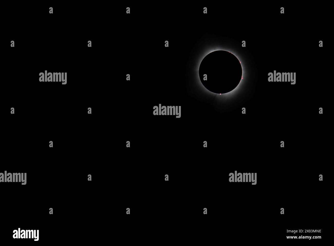 Van Wert, Ohio, USA. 8th Apr, 2024. A total solar eclipse, seen from northwestern Ohio. The reddish prominences projecting around from the moon's shadow are spots of plasma erupting from deep within the sun. Credit: Jim West/Alamy Live News Stock Photo