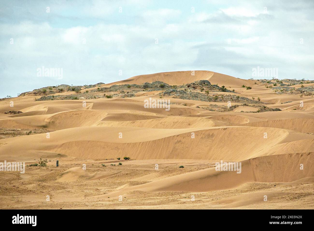 Barcham Dunes in the Namiib Desert forbidden zone or Sperrgebeit, near ...